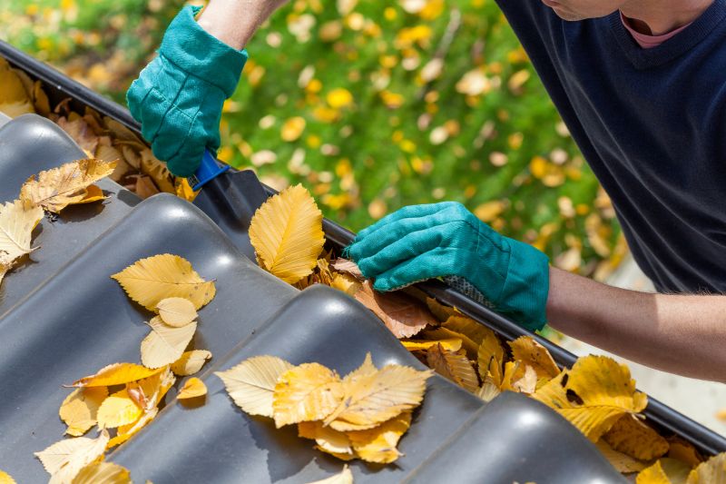 Fall Gutter Preparation